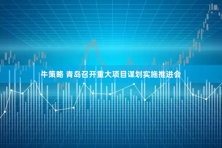 牛策略 青岛召开重大项目谋划实施推进会